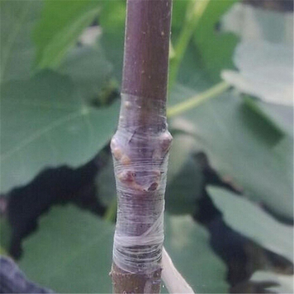 2 IN 1 TOOL KIT Garden Pruning Grafting Tool Garden Plant Branch Vine Fruit Tree Cutting Tool Comfortable Holding Kits Scissors