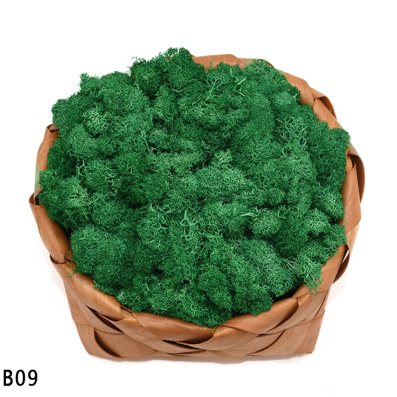 40g kunstige planter evigt liv mos mini have mikro landskab tilbehør boligindretning væg diy blomster materiale: B09