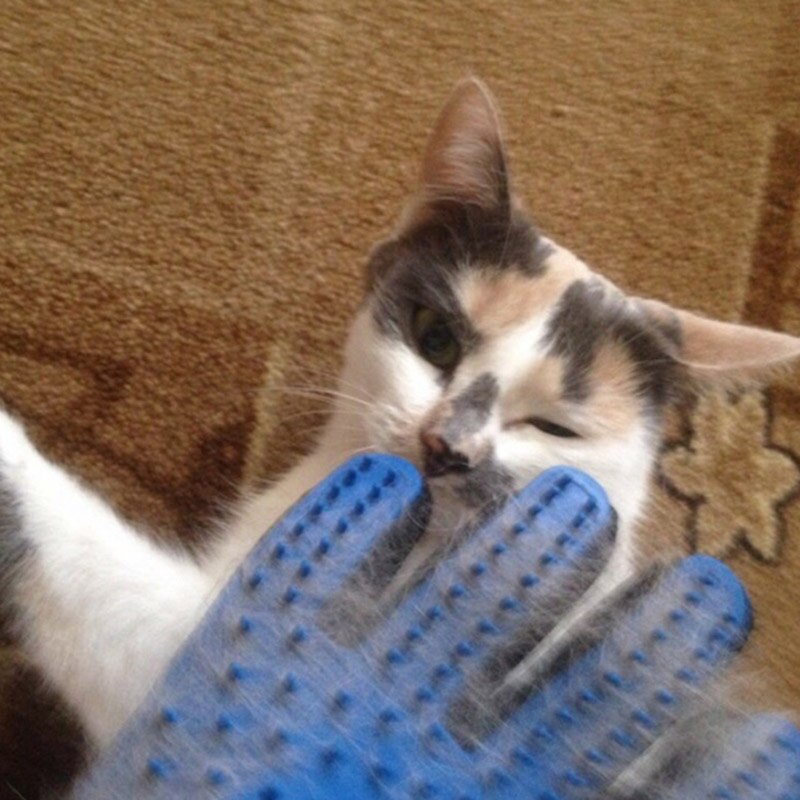 Gant brosse de nettoyage pour chiens | Peigne à poils de chat, gant de toilettage de cinq doigts pour chiens, fournitures de nettoyage pour animaux domestiques