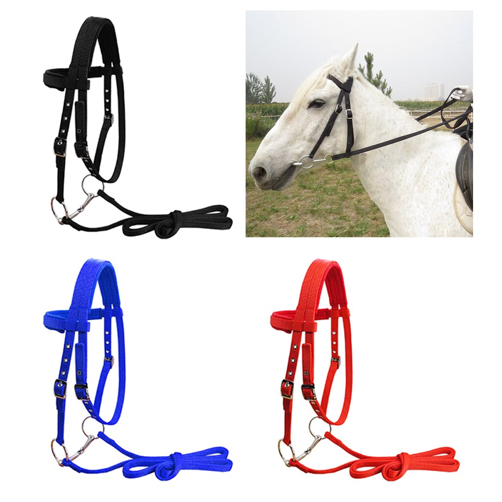 Slidstærkt hestetøj hestetøj hovedstald fortykket grime rytterudstyr 3 justerbart spænderudstyr til hest