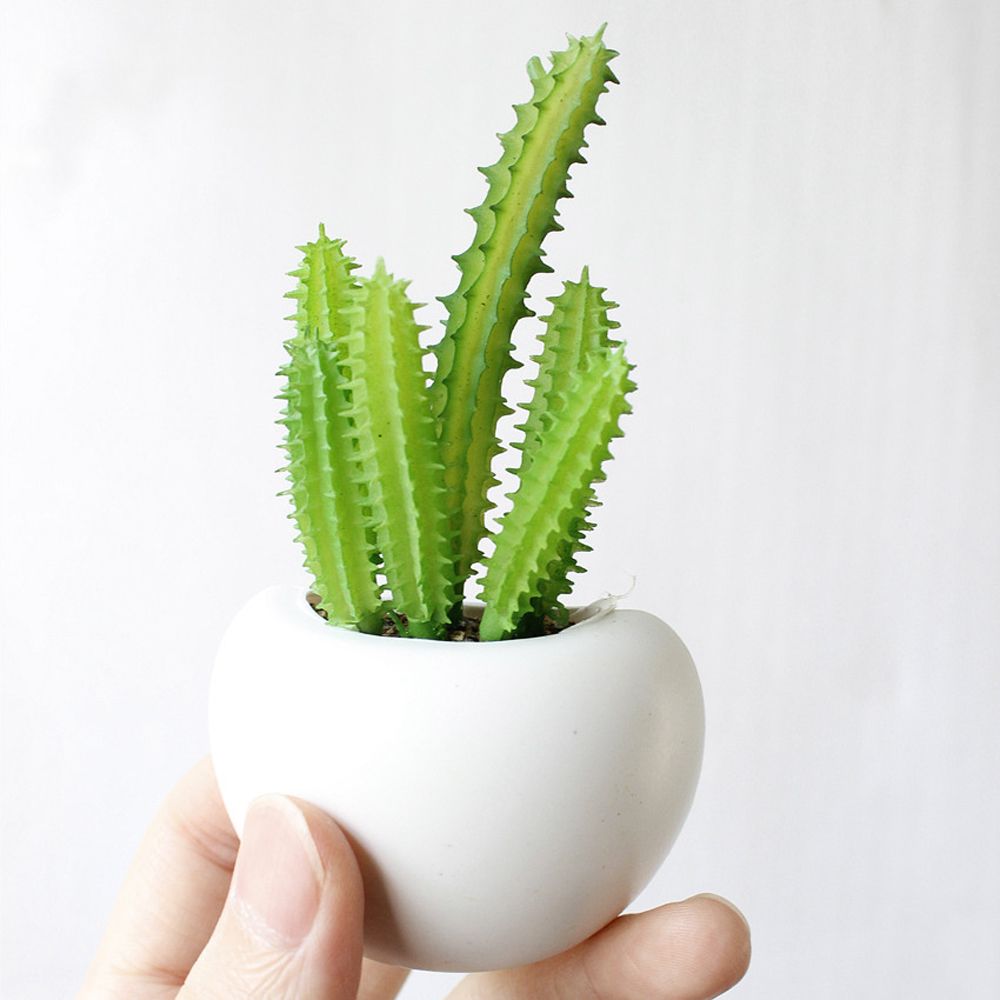 Succulent Plant Fridge Magnets Label Mini Bonsai Magnet Button Potted Simulation Plant Refrigerator Message Sticker Home Decor: Cactus