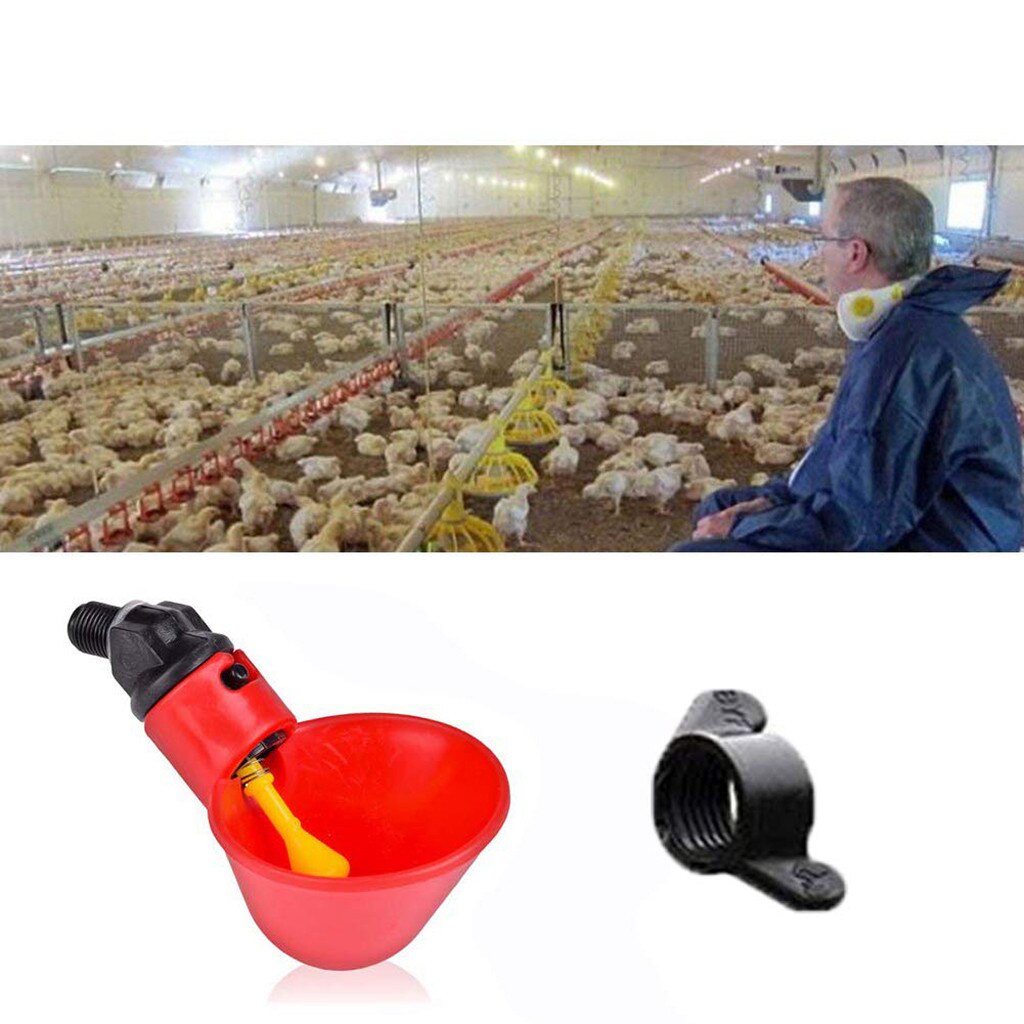 Automatic Bird Coop Feed Poultry Water Drinking Water Cups Chicken Fowl Drinker Cups Bird Feeders Breeding equipment 12/24Pcs
