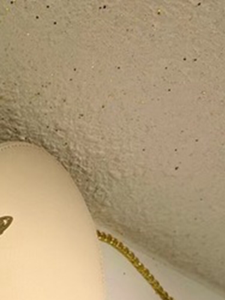(Voorverkoop) 2022 Liefde Zak Keten Een Schouder Crossbody Perzik Hart Zak: White