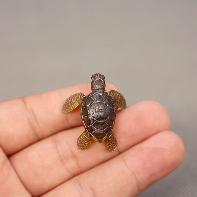 5Pcs/Set Mini Plastic Model Sand Table Toys Mini Turtle Model Ornaments