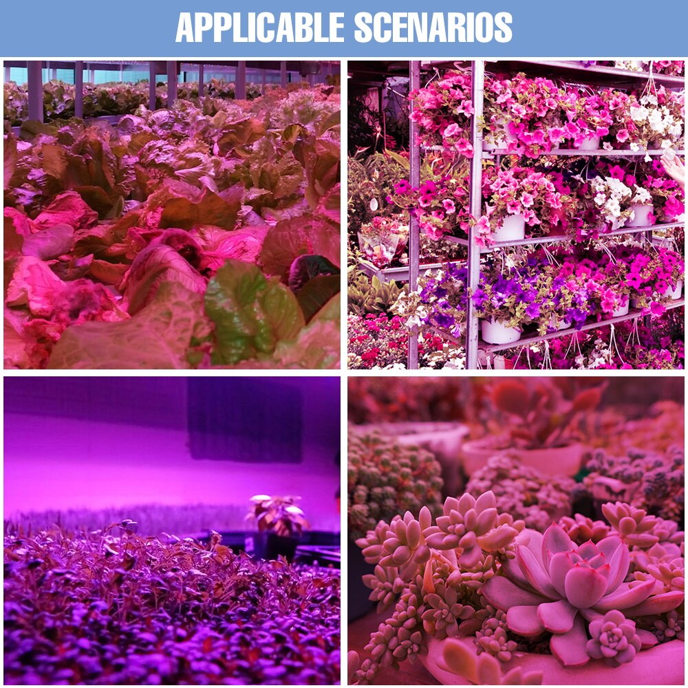 200W LED Grow Light Full Spectrum Phyto Lamp For Plant Floodlight Indoor Greenhouse Seedlings Flower Seeds Growing LED Phytolamp