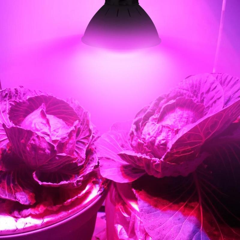 Lámpara de Cultivo LED de espectro completo, lámpara de foco de 8W E27 500lm, sistema hidropónico de invernadero con flores, protector de AC85-265V