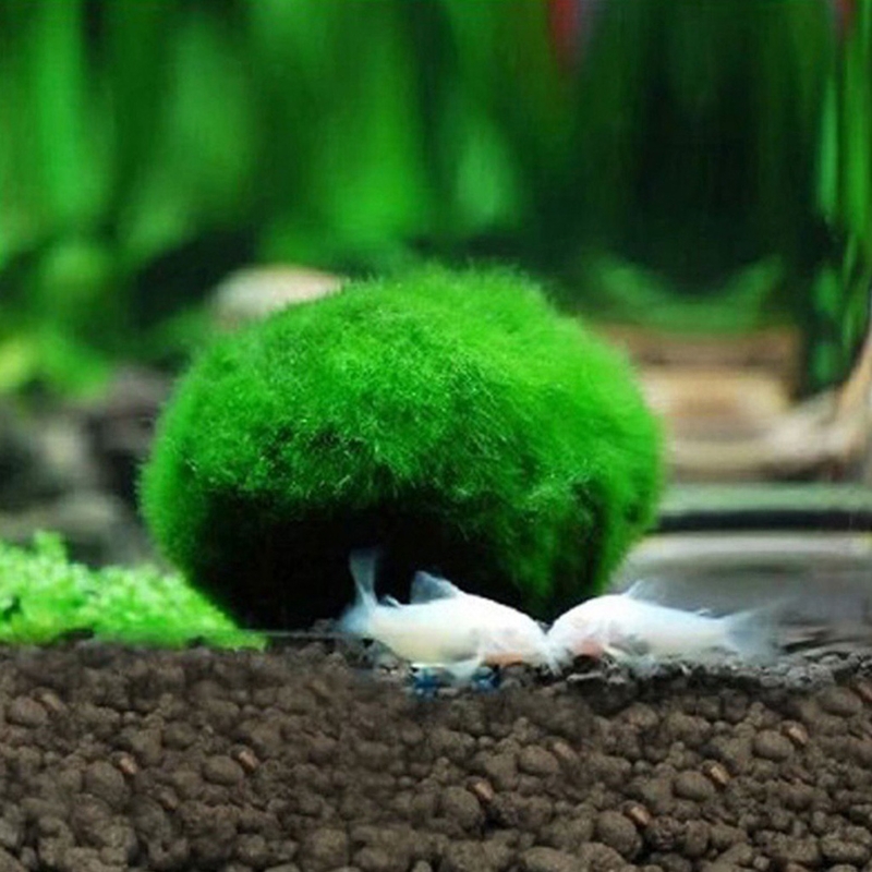 GXMA Artificial Moss Ball Fish Tank Aquarium Decor Ornament 2.5-4.5cm Natural Plants
