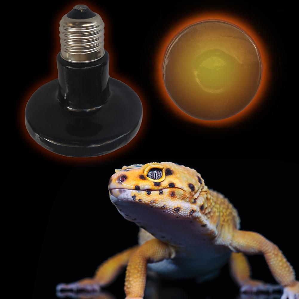 Kæledyr varmelampe kanin skildpadde hamster papegøje kæledyr varme konserveringslampe krybdyr kæledyr infrarød keramisk varme lysudsender varme