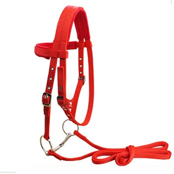 Hästträns ridgrimma med justerbar rem tygelbälte 6mm tjockare cheval caballos paarden ridutrustning