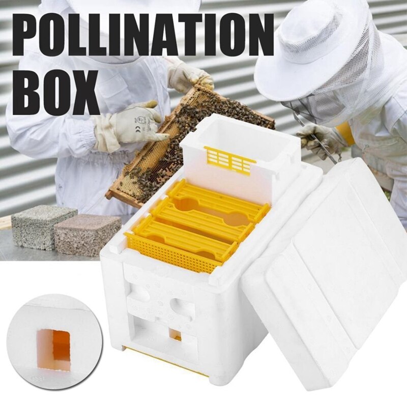 Hive Box Beekeeping Tools Foam Beehives Bee Tail Boxes Bee Breeding Boxes Pollination Box Sets Solid cedar Beekeeping Tool