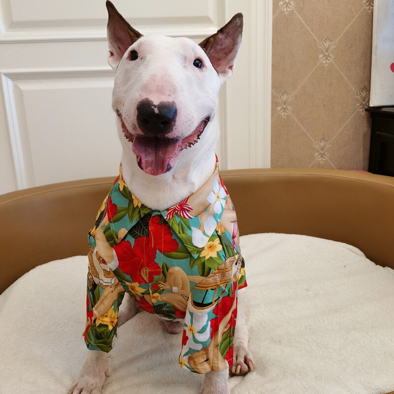 Bull Terrier – vêtements fins pour animaux de compagnie, motif de chat et chien hawaïen, chemises pour animaux de compagnie, chiot, grand chien: M(chest53CM)