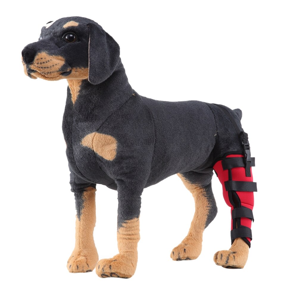 Pet Dog Leg Brace Right Left Leg Knee Hock Brace Bandages Straps Protection Dog Joint Bandage Wrap Dog Recovery Supplies: R / L