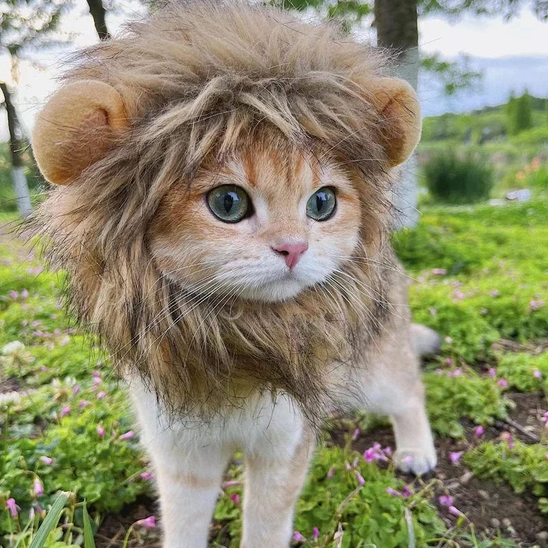 Leuke Grappige Huisdieren Kleding Cap Leuke Kat Pruik Lion Manen Kostuum Cosplay Kitten Hond Hoed met Oren Fancy Feestartikelen