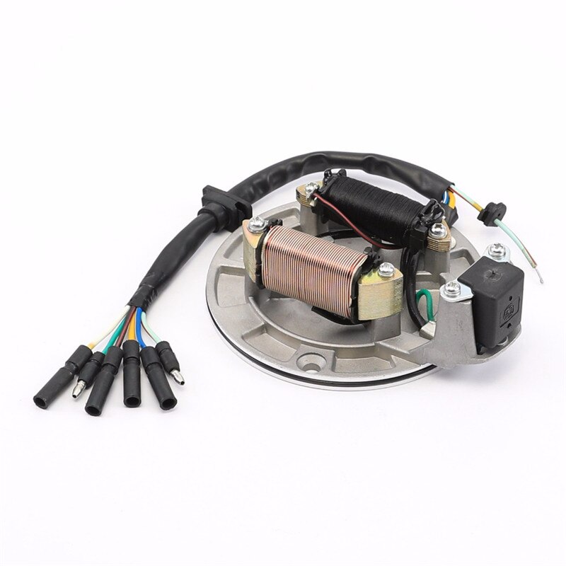 Motorcycles 2 Coil Magneto Stator 70cc 90cc 110cc 125cc ATV Dirt Bike Go Kart Coolster Pit Pro Taotao