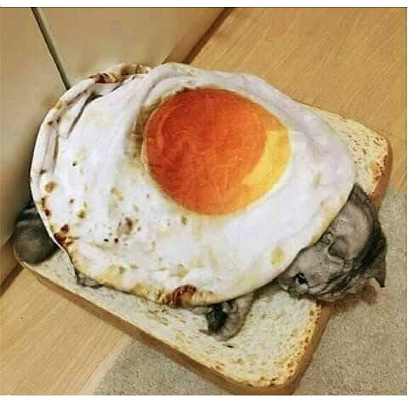 Cute Omelette Pet Blankets Puppy Cat Short Plush Pet Mat Durable Warm Poached Eggs Blanket Mats For Small Dog And Cat
