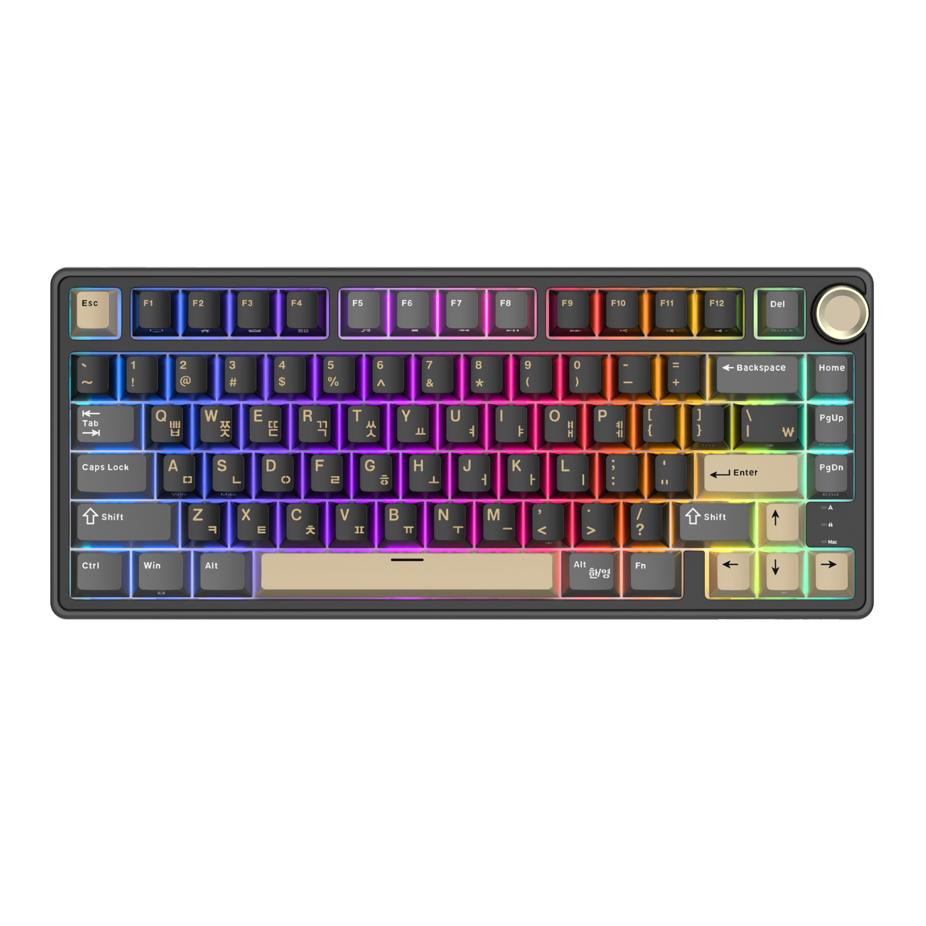 Royal Kludge RK R75 clavier de jeu filaire 80 touches 80% joint rvb rétro-éclairé clavier mécanique remplaçable à avec capuchons de touches MDA PBT: Étain / Interrupteur bleu