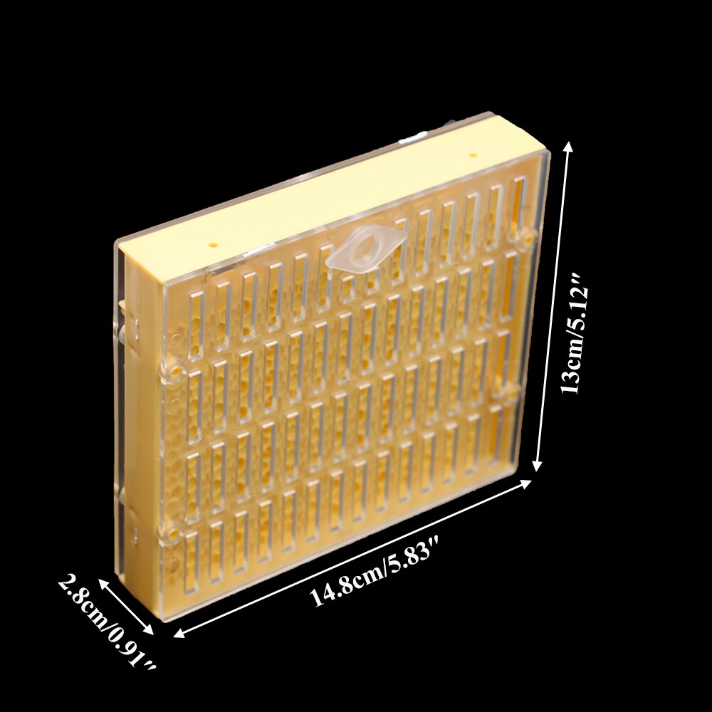 Kit système d&#39;élevage d&#39;abeilles reine, 1 ensemble, Cage cellulaire en plastique, couvercle de Protection, boîte de Base, tasse, fournitures pour Apiculture