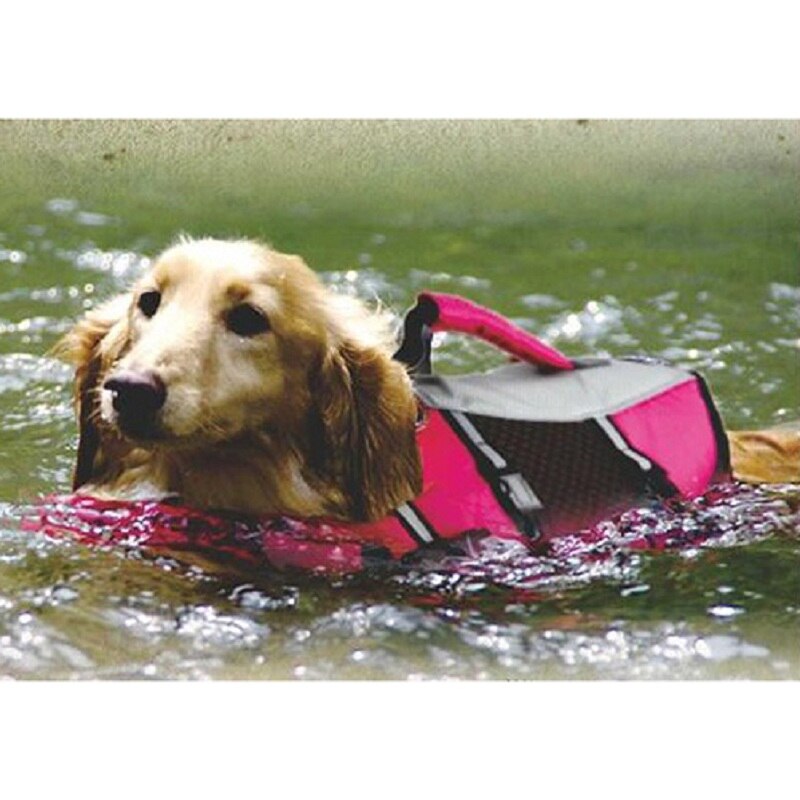 Kæledyr hund redningsvest jakke behagelig hund badedragt tøj redningsvest til hund sikkerhedstøj kæledyrsforsyning størrelse s-xl