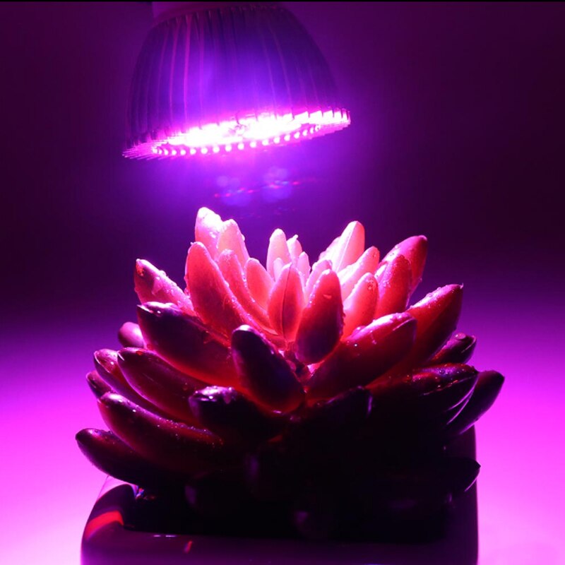 Full spectrum Plant Grow Led Light Bulbs Lamp lighting for Seeds hydro Flower Greenhouse Veg Indoor garden E27 phyto growbox
