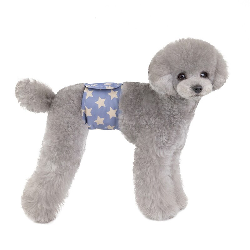 Couche pour chien bande de ventre imperméable à l'eau urinaire enveloppement couche réutilisable physiologique pantalon mâle chien soins infirmiers Nappy fournitures de nettoyage pour animaux de compagnie
