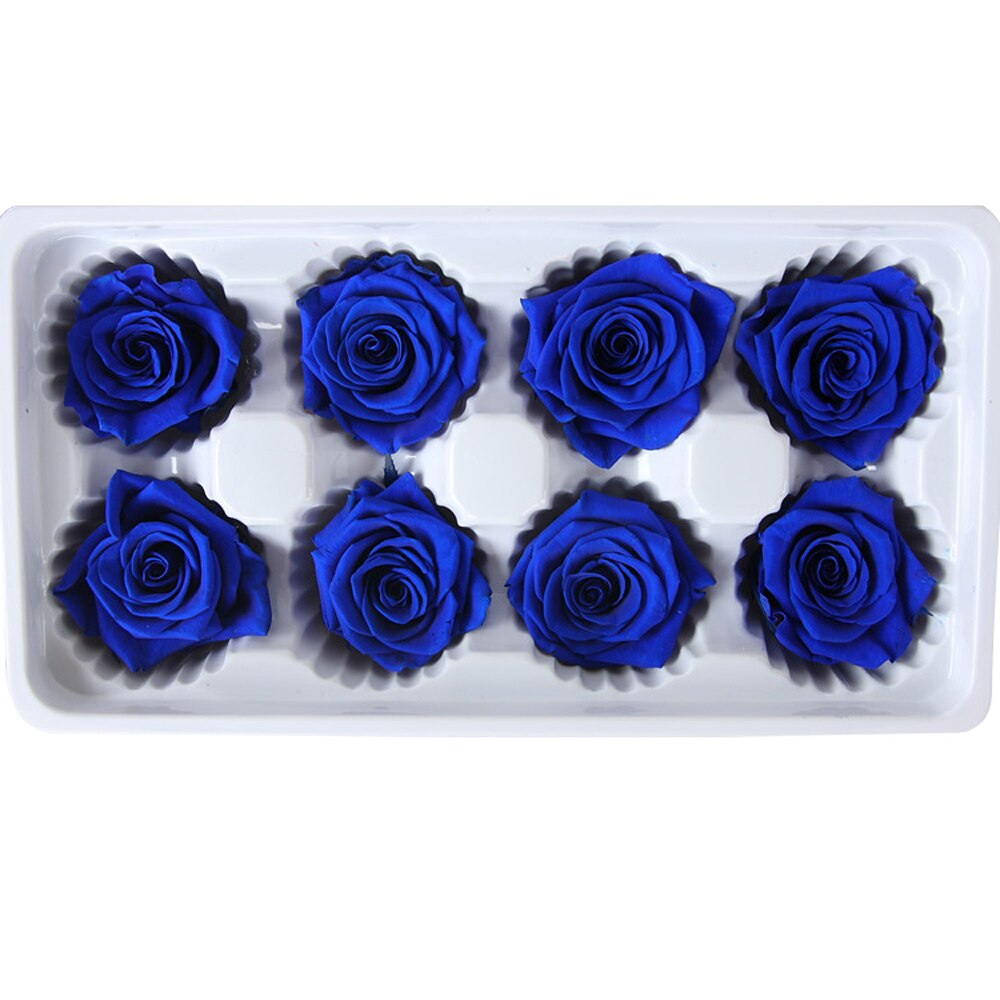 8 stk / kasse konserverede blomster blomst udødelig rose 5cm diameter mødres dag evigt liv blomstermateriale kasse: Dyb blå
