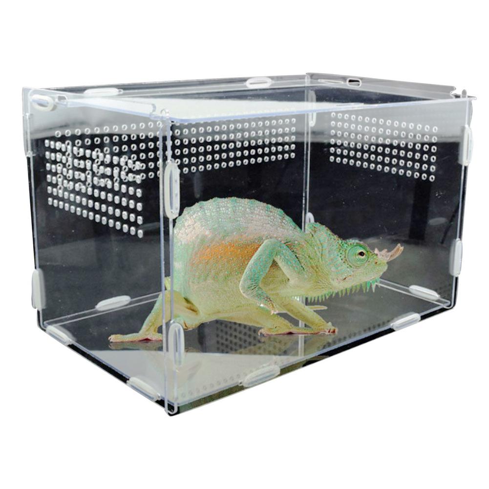 Caixa ornamental de terrário camaleão, para répteis, lagarto, centípede, aranha, caixa transparente, suprimentos para animais de estimação