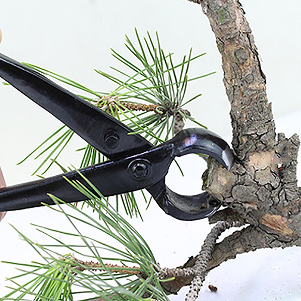 Tijeras De injerto para árbol frutal, tijeras De poda multifunción para injertos, herramienta De injerto, Tesoura De Enxertia