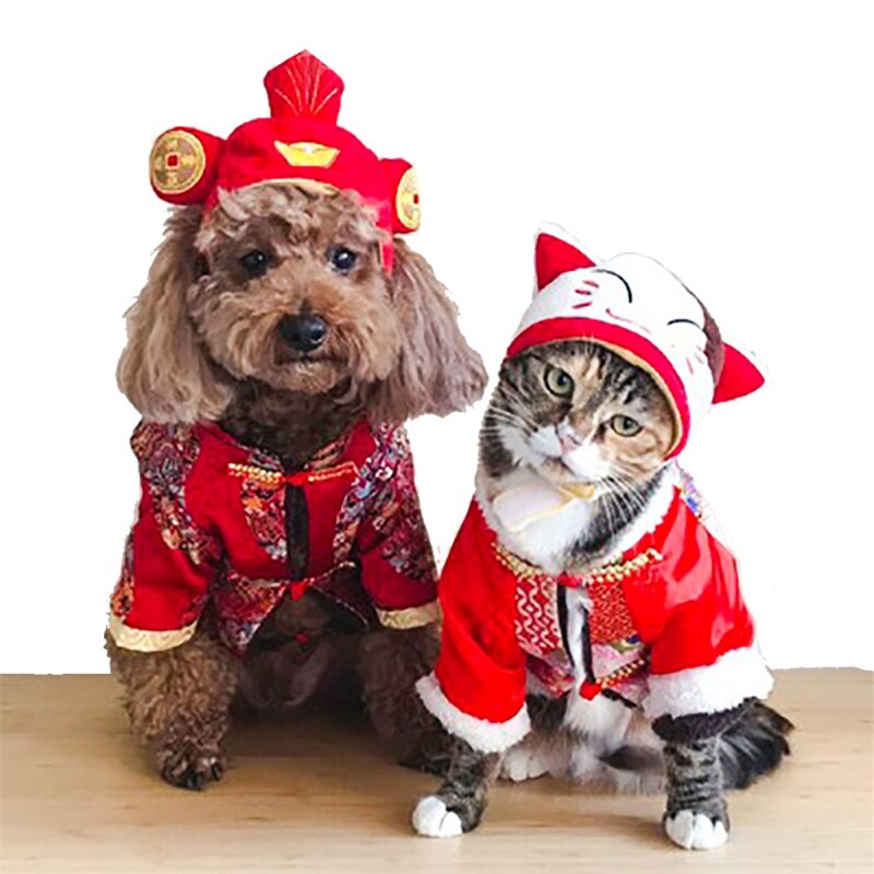Cão de estimação roupas de gato traje de halloween chapéu de gato cachecol terno manto vestir-se ano novo traje de animal de estimação roupas de natal maschas