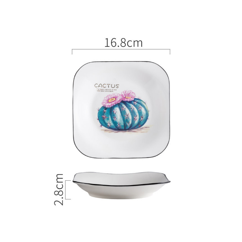 Vierkant porseleinen bord, cactus, dessertbord, broodbord, fruitsaladebord, scandinavisch ontbijtbord, botervloot, keukenservies: Als