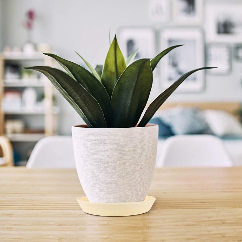 Plast blomsterpottefat 6 tommer beige 6 per sett blomsterpottebrett for saftige blomsterpotter