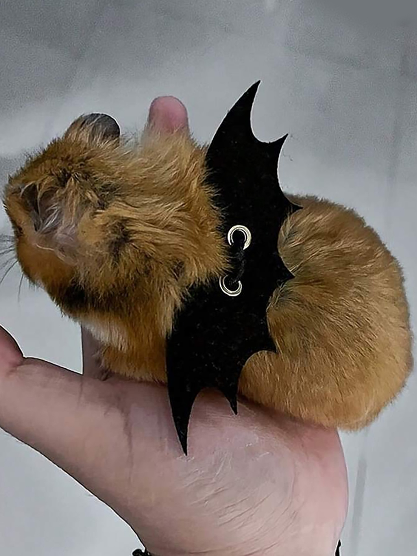 1 st kleine dieren hamster trekkabel riem, hamster bloemtak rat uitgaan riem