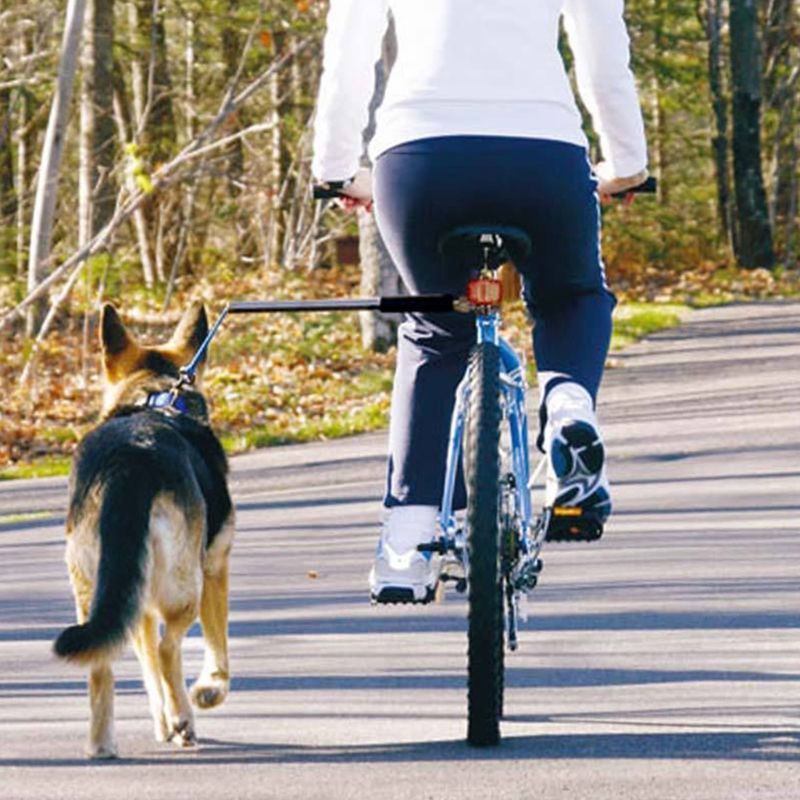 Tips voor fietsveiligheid: hoe fiets je met een hond in een fietsmand