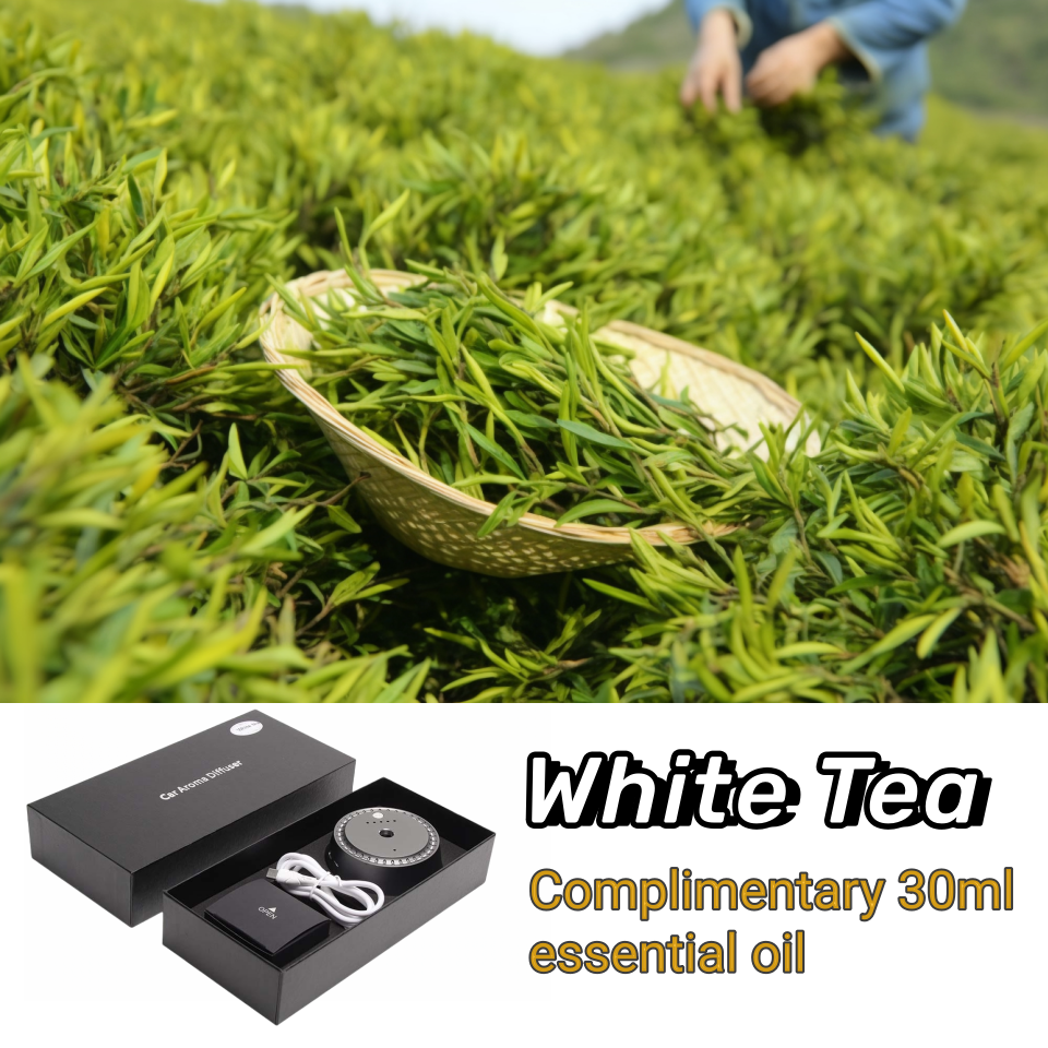 Car Mounted High-End Intelligent Spray Fragrance With Strong And Long-Lasting Aroma Alloy Material Accessory Car Air Freshener: Brown