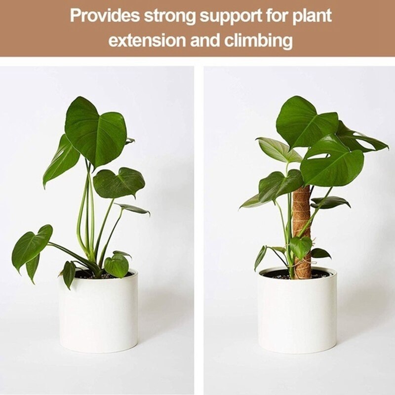 4Pc30CM Plant Climbing Coconut Shell Column Safe Gardening Climbing Plant Vines Climbing Frame