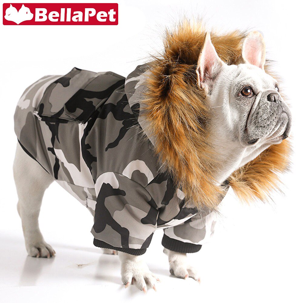 Veste de luxe pour animaux de compagnie, – Grandado