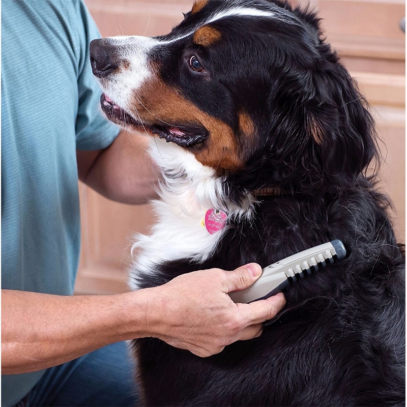 Elektrisk hundebørste kam hvalp hund kat hårtrimmer slicker gilling børste hurtig rengøringsværktøj til kæledyrspleje kam