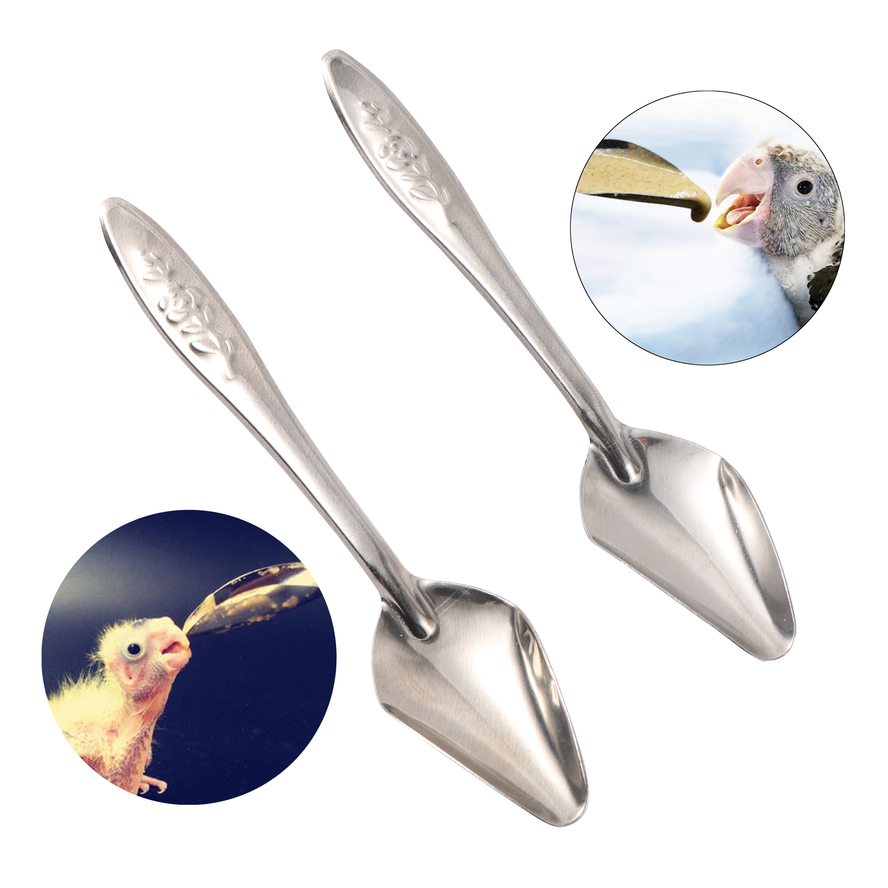 Bird Parrot Feeding Spoon Stainless Steel Water Milk Powder Feeder Spoons Bird Supplies Baby Bird Feeding Spoon 4 Pcs