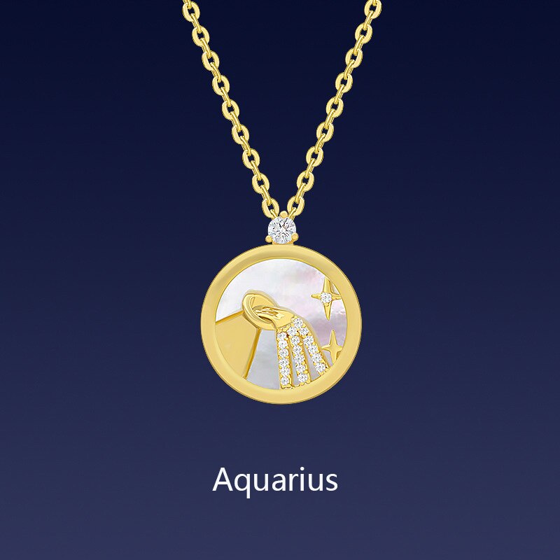 Fashionable Popular 12 Constellations Necklace Women Simple Versatile Pisces Temperament Neck Ornament: Aquarius