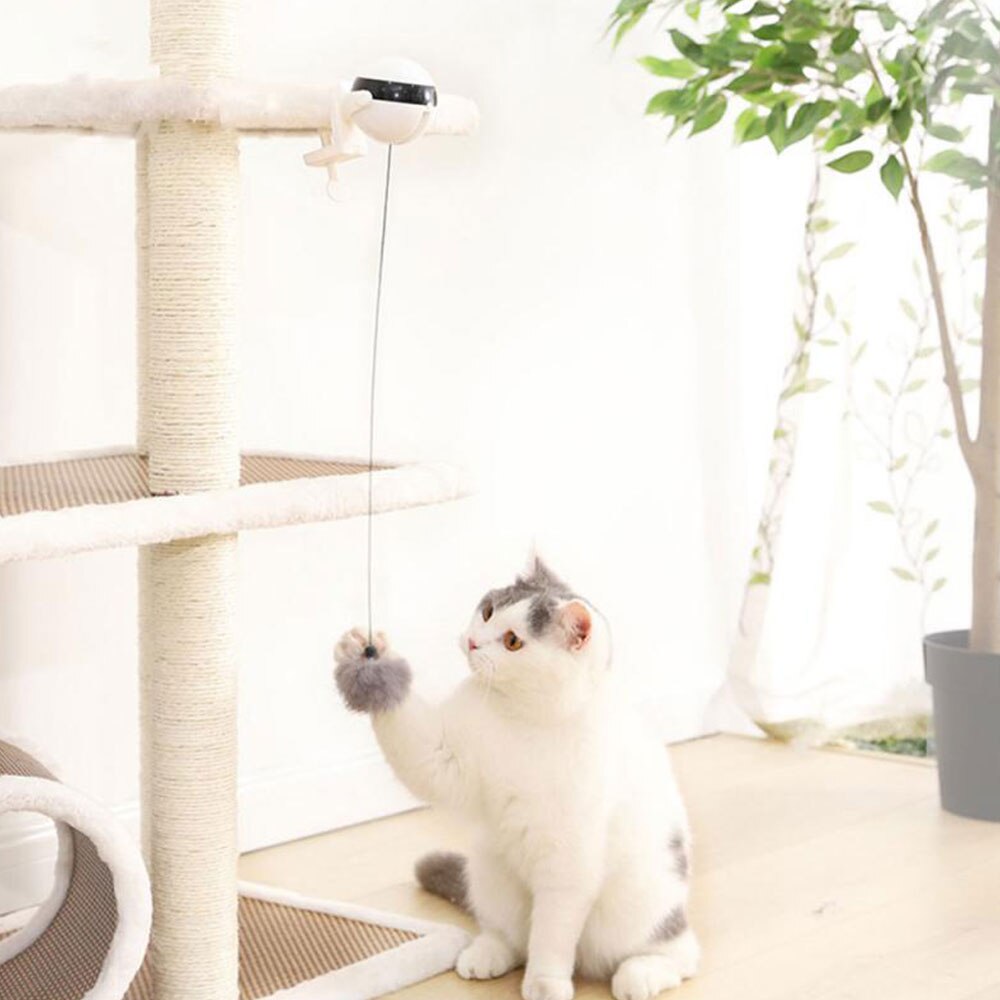 Elektrisk katteleke automatisk løfting katt ball leke interaktiv puslespill smart kjæledyr katt ball fjær leker løfte baller katt kjæledyr forsyning
