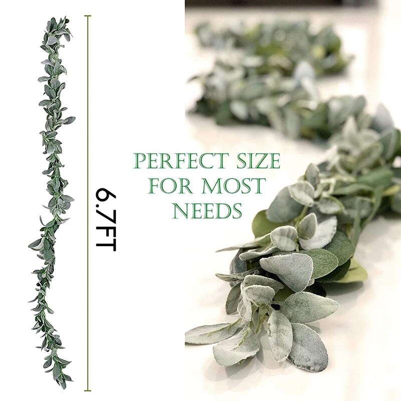 succulents outdoor plants Assorted Succulent Pack - 6, 12, or 25 Plants