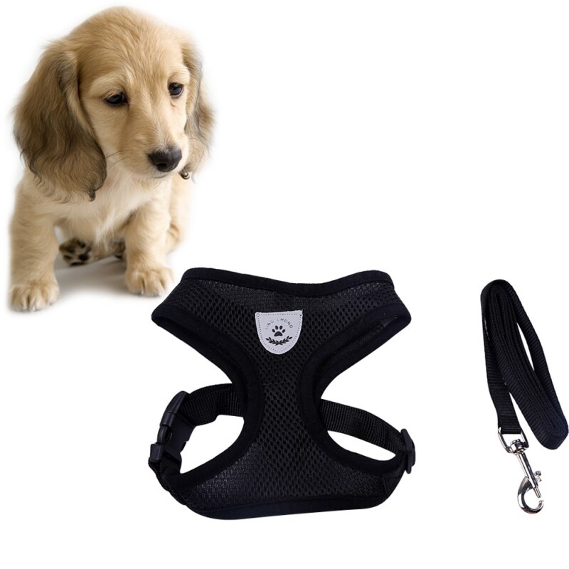 Leuke Kleine Nylon Harnas Hond Kat Pet Harness Set Chihuahua hond Accessoires Hond Lood Pet Shop Supplies Hond kragen