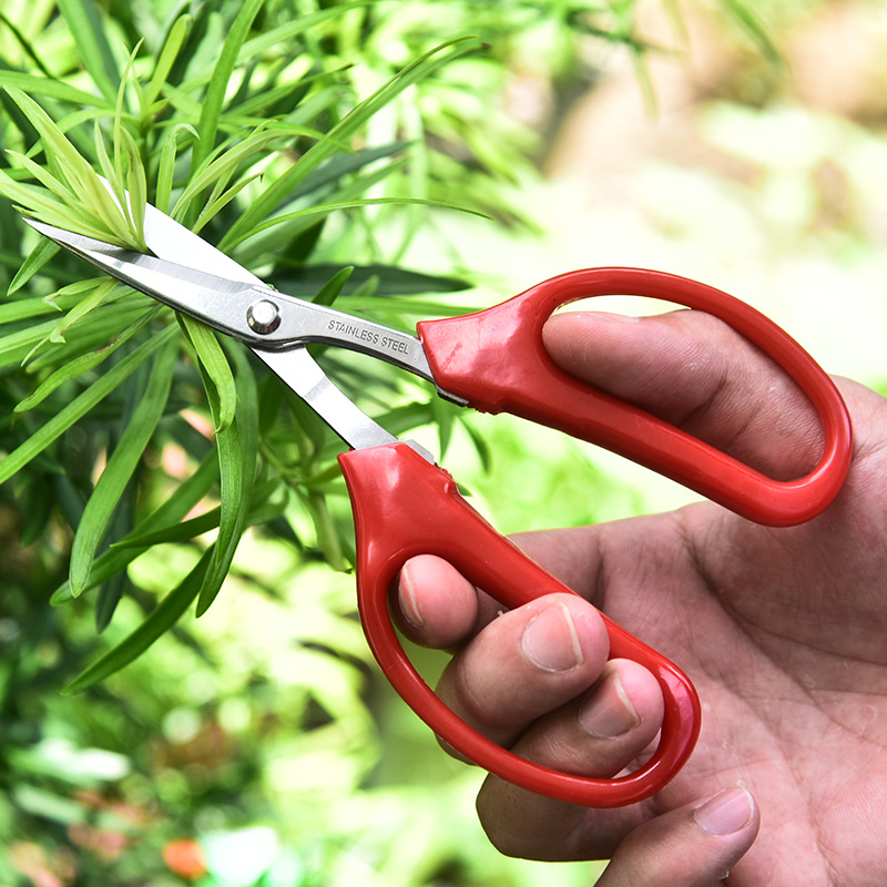 Edelstahl Obst Trauben Schere Haarschneidemaschine verrotten PP Komfort Griff Gartenschere Gartengeräte für Bonsai Blumen