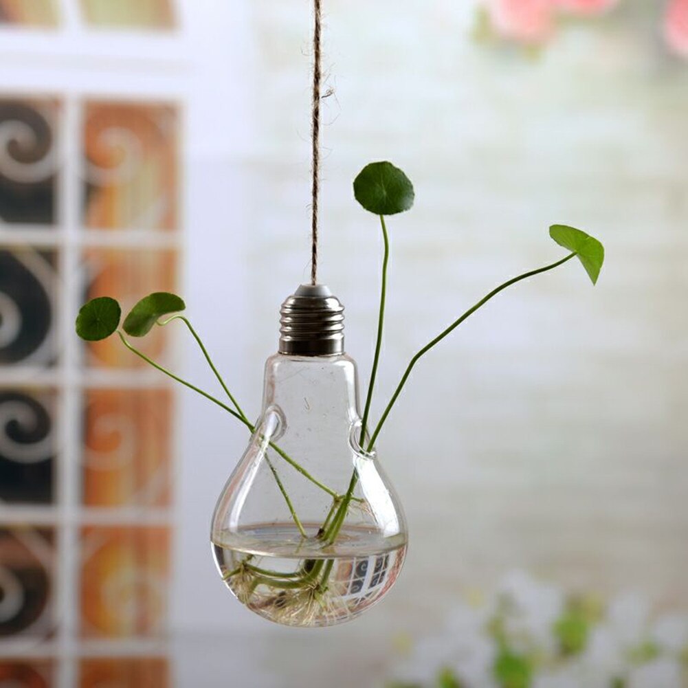 Wall Hanging Light Bulb Glass Vase Flower Plant Terrarium Container Home Decor: Bulb shape