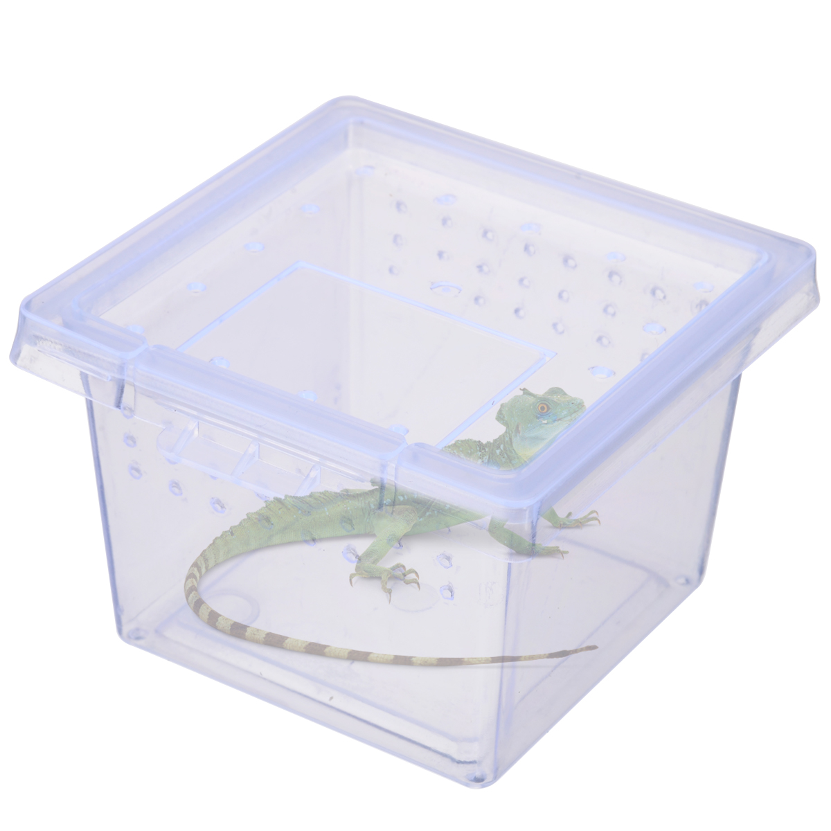 6.8*4.5*5.5cm Transparent Spider Feed Living Box Plastic Insect Box Reptile Cultivate Container Scorpion Terrarium Habitat