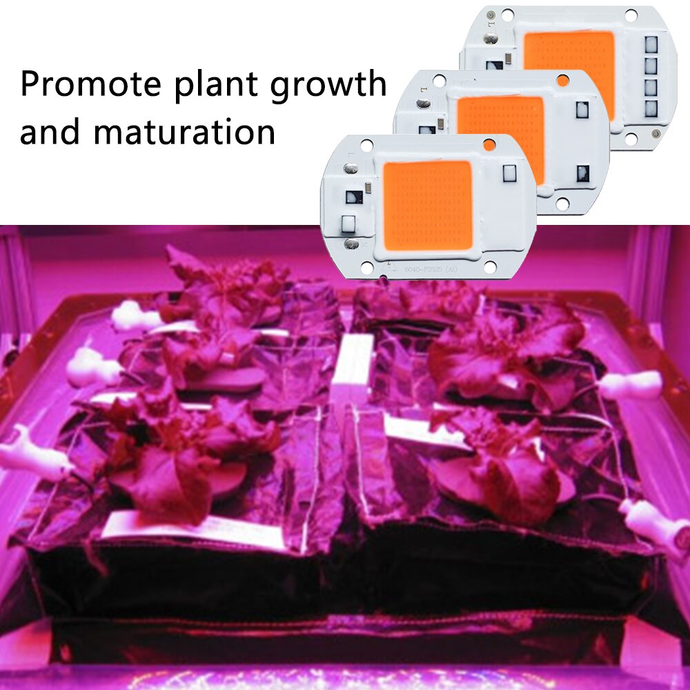 Led Cob Chip Voor Planten Groeien Licht Volledige Spectrum Ac 220V 110V 50W 30W 20W voor Indoor Plant Zaailing Groeien Bloem Groei Verlichting
