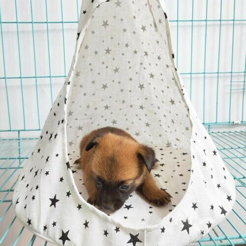 Comfortabele Pet Kat Hond Conische Slapen Bed Mand Hangmat Bed Venster Kooi