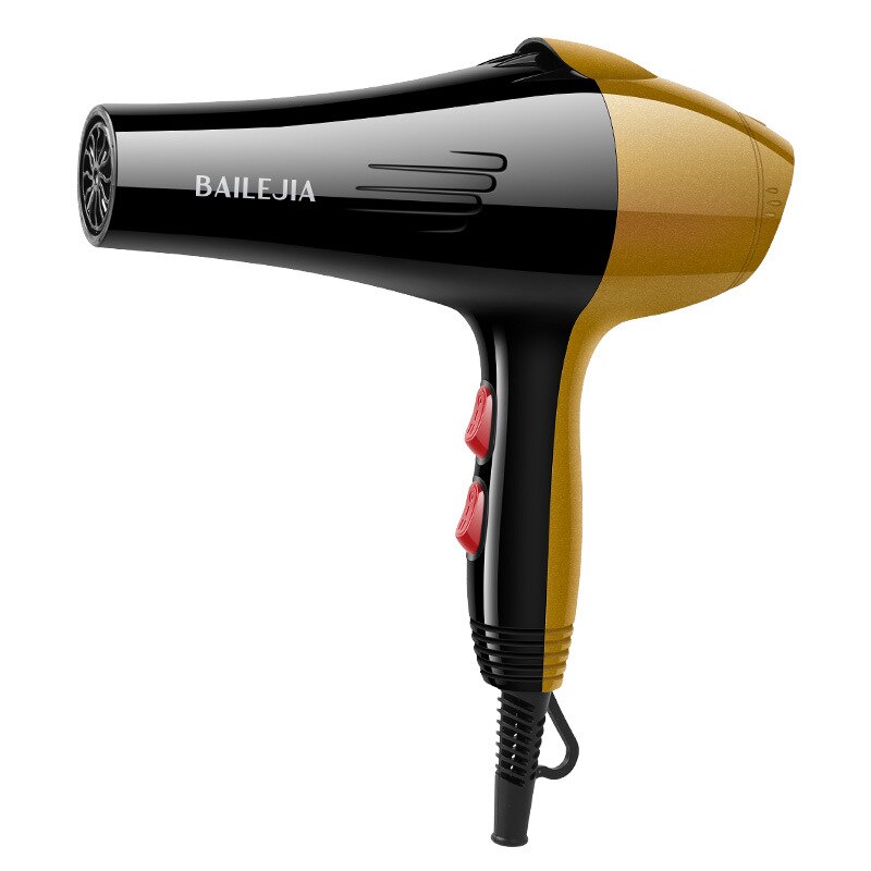 Secador de pelo de alta potencia y temperatura constante para estudiantes: Black and Golden