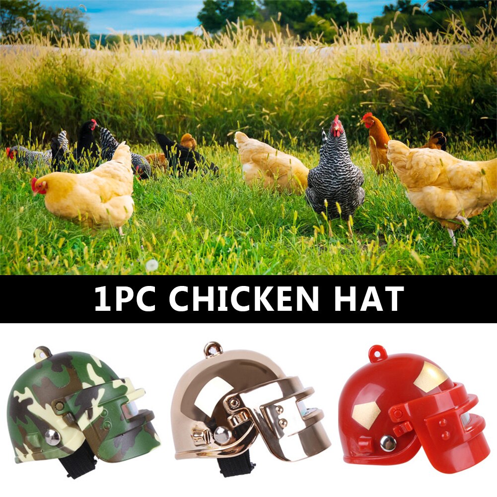 Pet Chicken Bird Helmet Smash Proof Poultry PP Safety Head Protection Cap Chicken Hen Hard Hat Headgear Outdoor Foraging