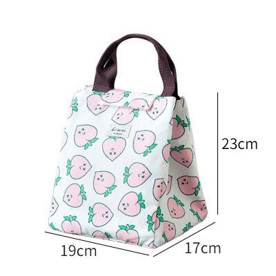 Portable Insulated Lunch Box Portable Cooler Lunch Bag Dinner Container School Food Storage Picnic Trip Cartoon Kids Women: B3  23X17X19CM