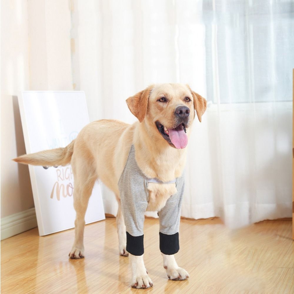 Práctico y transpirable funda de recuperación para perros, coderas suaves ajustables para cachorros, rodilleras antichar de algodón para pierna delantera de perro
